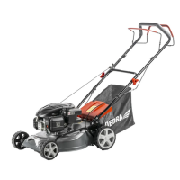 Kosiarka spalinowa z napędem Dedra DED8720-43L 43cm