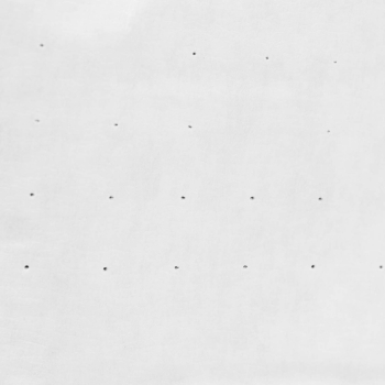 Klej spoiwo do pelletu - skrobia pszenna 5,5-7,5 pH 20 kg