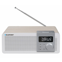RADIO PRZENOŚNE BT/FM/MP3 MICRO SD/AUX