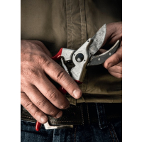 SEKATOR JEDNORĘCZNY -  NOŻYCE DO PRZYCINANIA