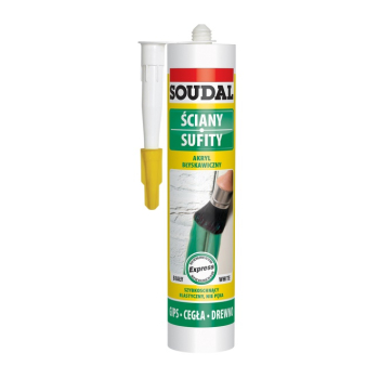 EXPRESS ACRYL 280ML BIAŁY