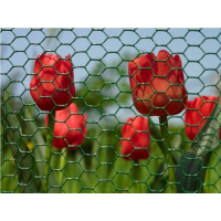 SIATKA HEKSAGONALNA W PCV DRUT 0.9MM 100CM*25MB OCZKO 20MM