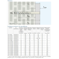 DYBEL RAMOWY WKRĘT ŁEB TORX AST 10/160MM