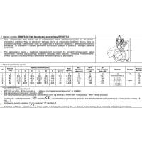 HAK BEZPIECZNY SWORZNIOWY 7/8MM WLL 2T