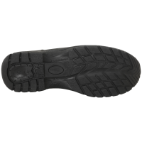 TRZEWIKI ROBOCZE SAFARI 41