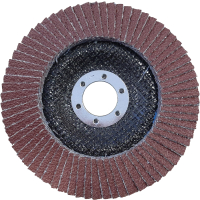 LAMELKA KORUNDOWA EPM PRO-X GRANULACJA 80 125MM