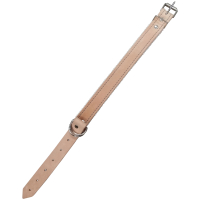 KOLCZATKA SKÓRA DUŻA