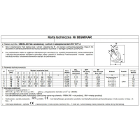 HAK ZAWIESIOWY Z UCHEM I ZABEZPIECZENIEM G8 16MM WLL 8T