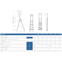 DRABINA WOLNOSTOJĄCA PRZEMYSŁOWA 285CM 5 STOPNI + PODEST