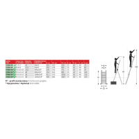 DRABINA TRZYELEMENTOWA 3X10 SZCZEBLI ST300/3N