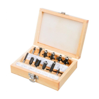 FREZY WIDIOWE, TRZPIEŃ 6MM, ZESTAW 12SZT.