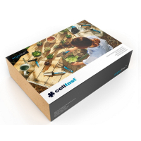 ZESTAW NARZĘDZI ERGO