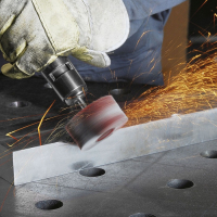 ŚCIERNICA TRZPIENIOWA LISTKOWA 06040.06 NK40