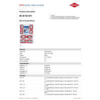 ZESTAW SZCZYPIEC DO PIERŚCIENI OSADCZYCH 8-CZ. 00 20 04 V01