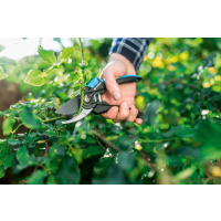 SEKATOR NOŻYCOWY ERGO