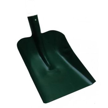 ŁOPATA PIASKOWA NIEOPRAWNA