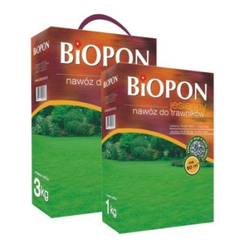 NAWÓZ JESIENNY, DO TRAWNIKA GRANULAT KARTON Z UCHWYTEM 3 KG