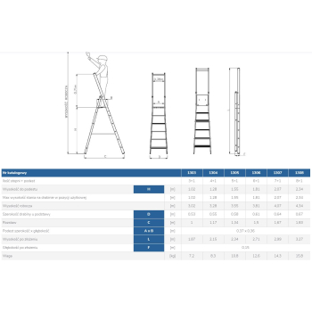 DRABINA WOLNOSTOJĄCA PRZEMYSŁOWA 285CM 5 STOPNI + PODEST