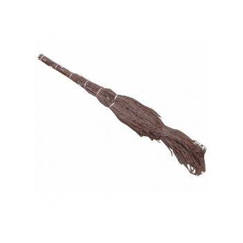 MIOTŁA PODWÓRKOWA BRZOZOWA